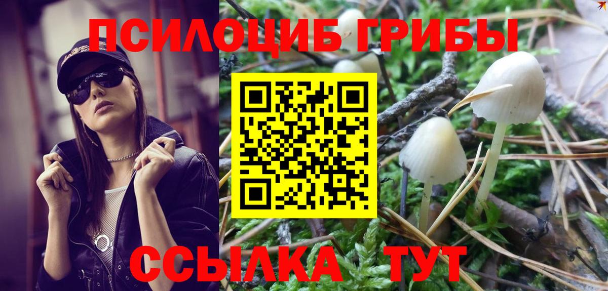 Галлюциногенные грибы GOLDEN TEACHER Вязники